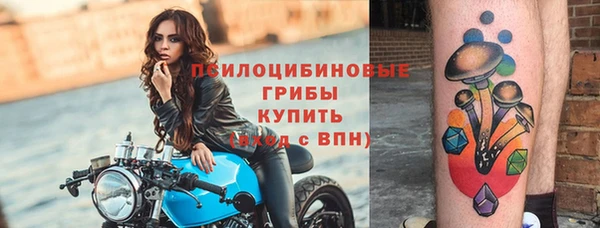 метадон Алексин